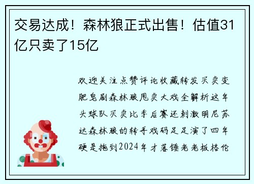 交易达成！森林狼正式出售！估值31亿只卖了15亿
