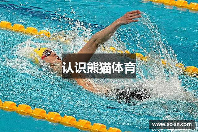 认识熊猫体育